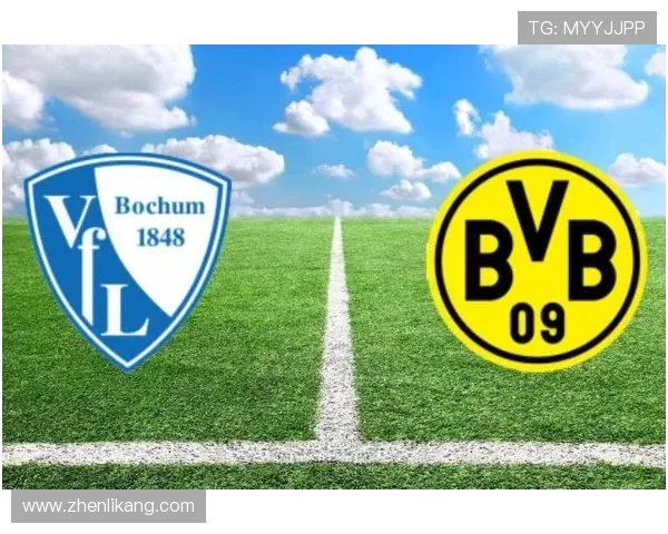 多特蒙德迎战杜塞尔多夫期待精彩对决与激烈竞争