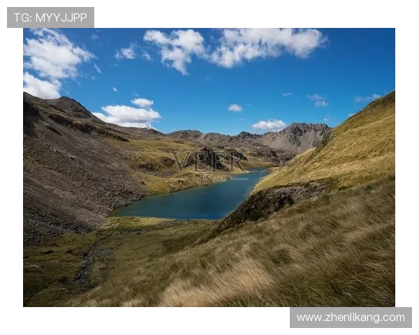 葡萄牙与新西兰精彩对决回顾及赛后分析全景呈现 葡萄牙与新西兰精彩对决回顾及赛后分析全景呈现