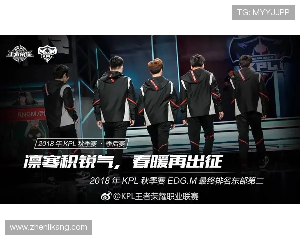 EDG战队实力深度分析与王者荣耀赛事表现探讨