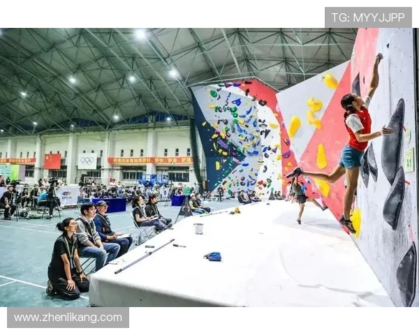 攀岩深度探秘：揭秘上海攀岩队的运营模式与发展策略